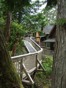 It's like a treehouse, but for grown-ups!