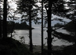 Day 2 – To Ucluelet