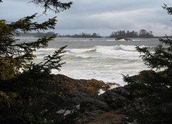 Day 4 – In Ucluelet