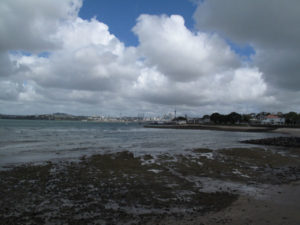 A view towards Auckland, off in the distance.